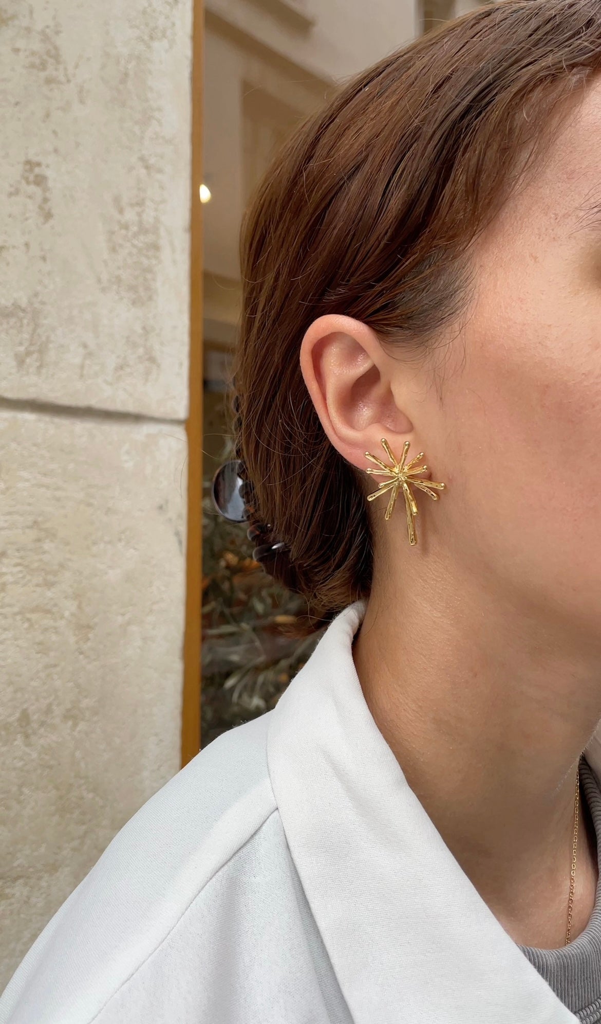 Polar earrings