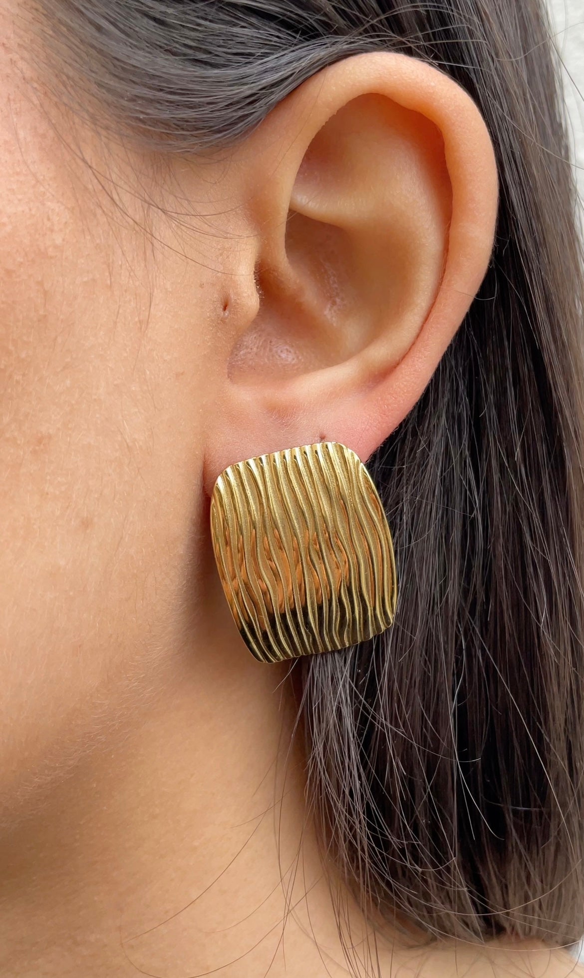 Shield earrings