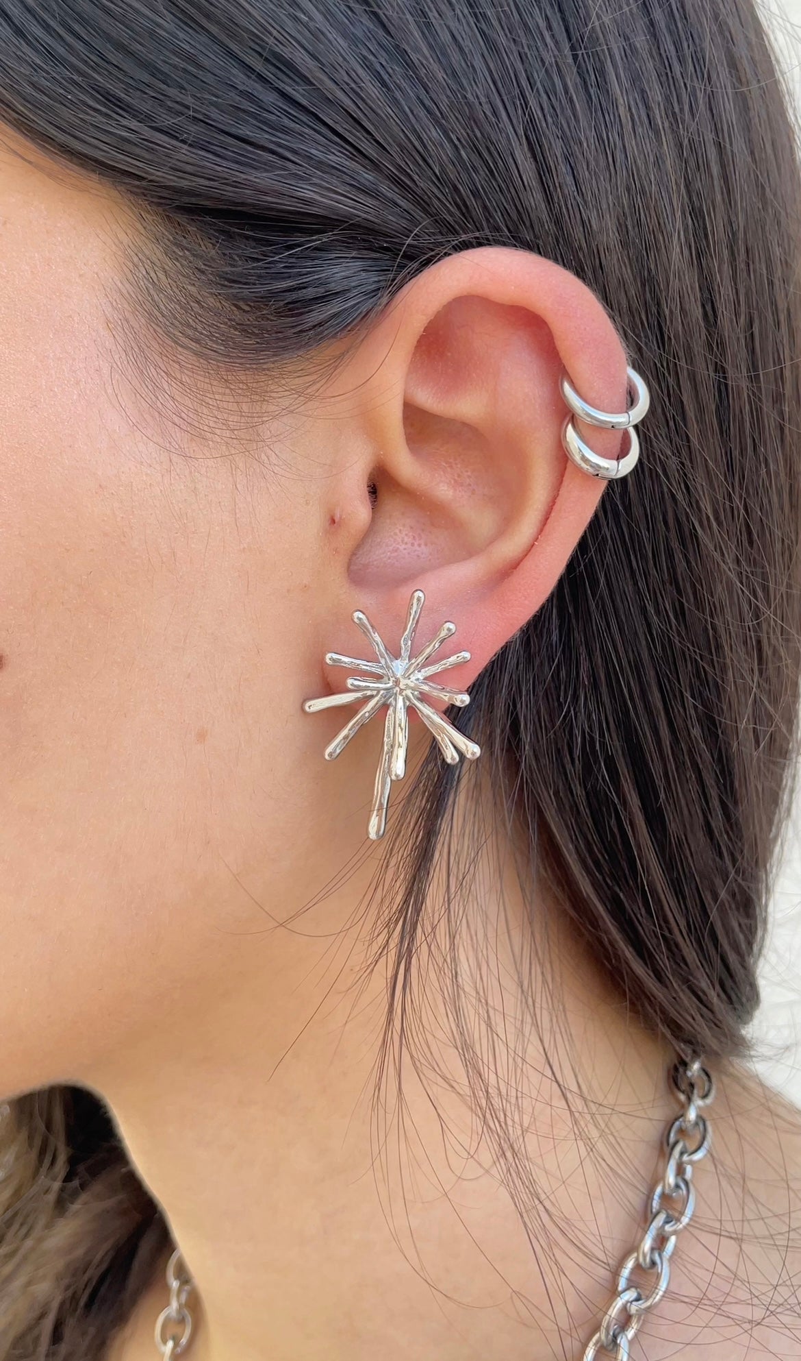 Polar earrings
