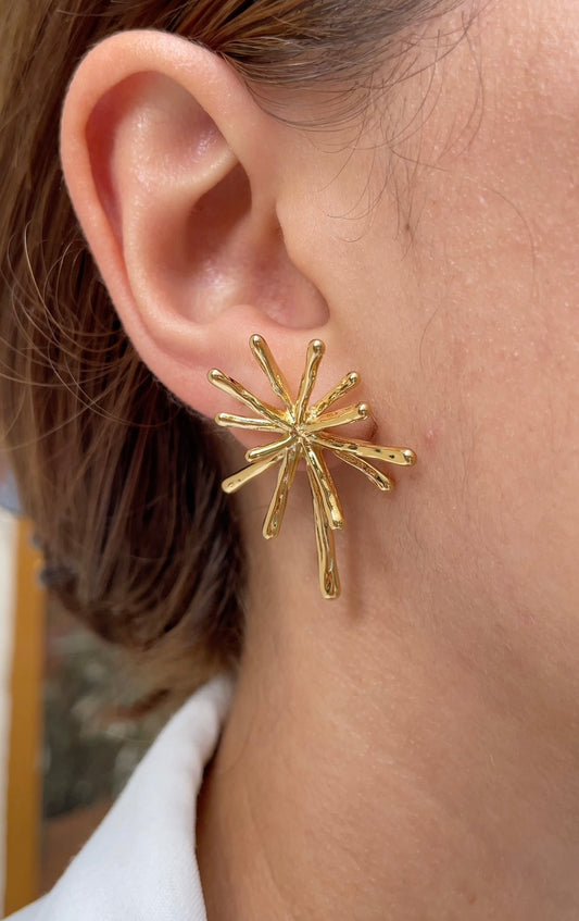 Polar earrings