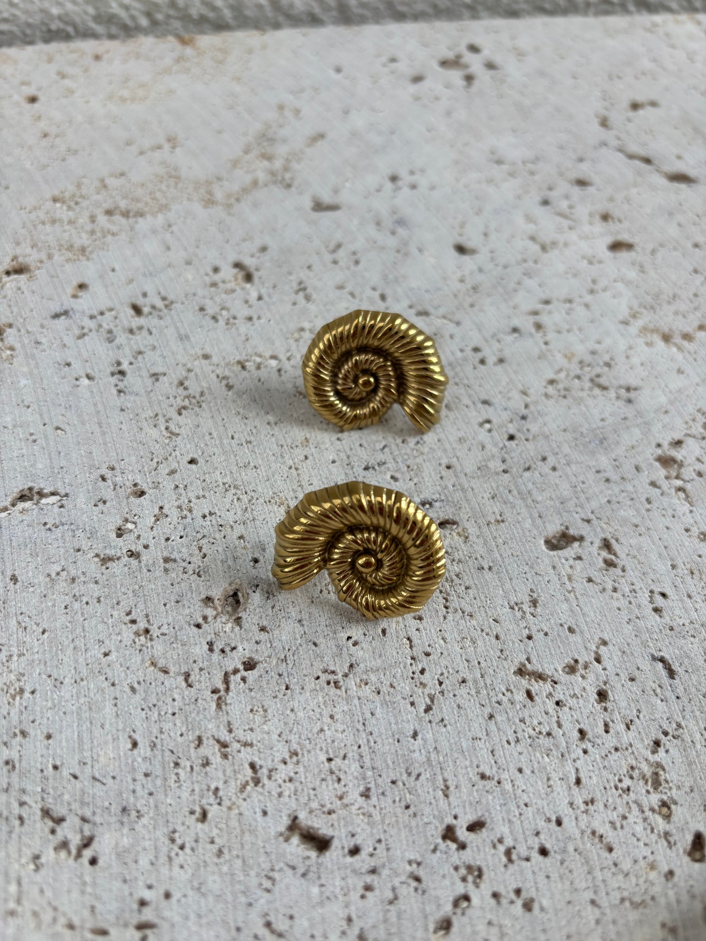 Coquillage earrings