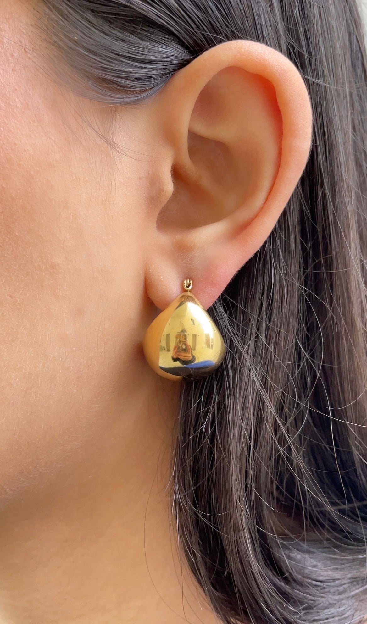 Big nut earrings