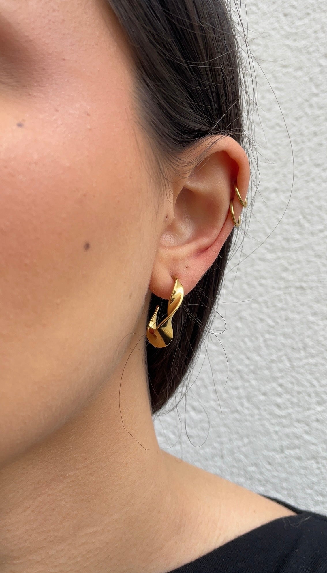 Small torsade earrings