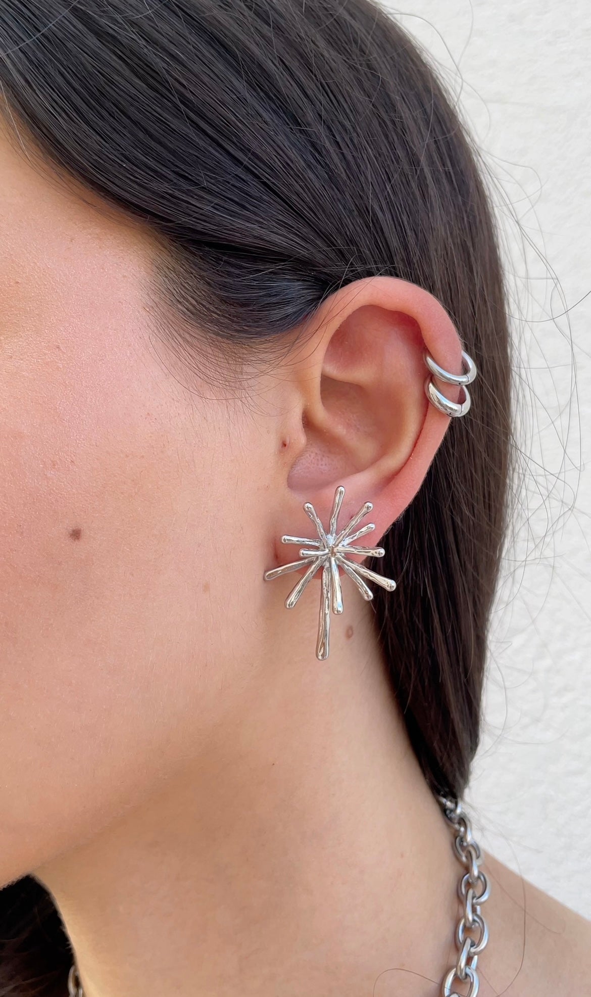Polar earrings