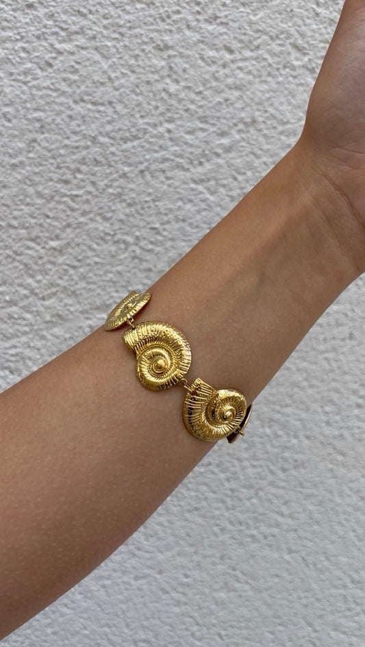 Shells bracelet