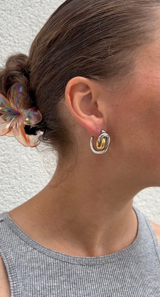 Fancy earrings