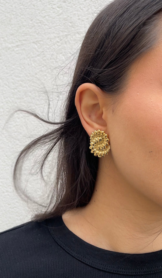 Shell earrings