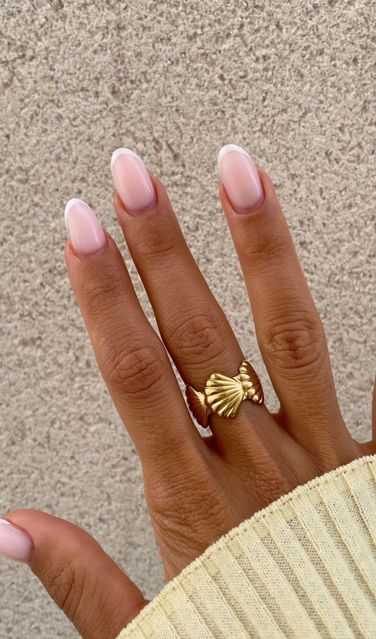 Multi shells ring