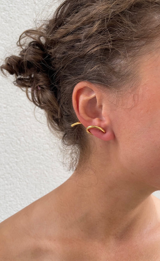 S earrings