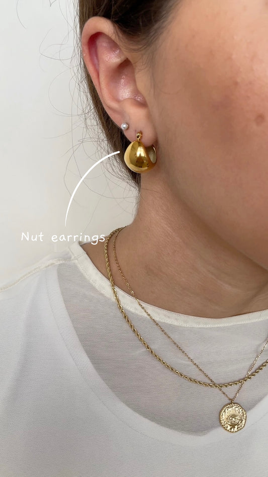 Nut earrings